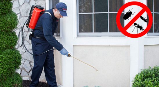 Çatalca Hamam Böceği İlaçlama böcek ilaçlama ve haşere kontrolü — ilaclama-tr.com